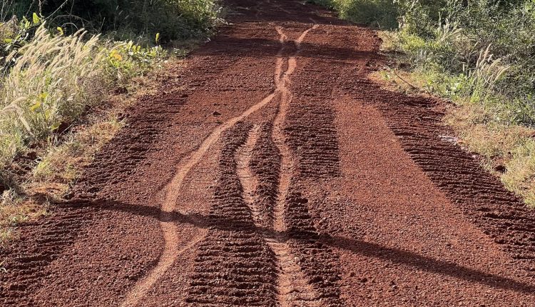 607837754_122155440152827753_132950369212323241_n